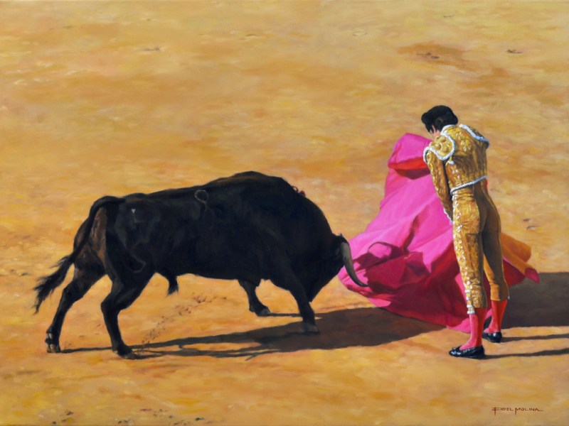 Con el capote en los&nbsp;medios