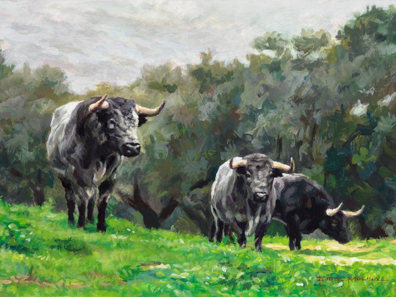 Toros en la&nbsp;dehesa